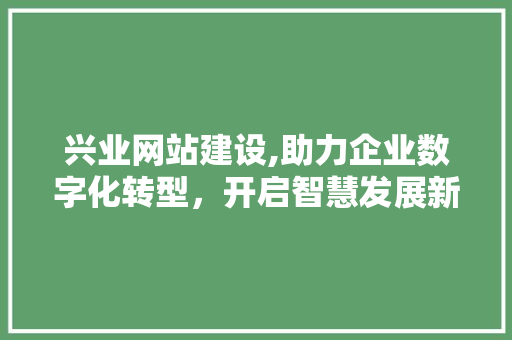兴业网站建设,助力企业数字化转型，开启智慧发展新篇章