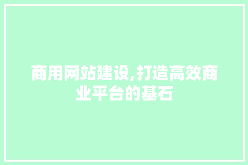 商用网站建设,打造高效商业平台的基石 神马SEO