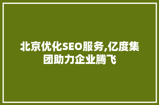 北京优化SEO服务,亿度集团助力企业腾飞
