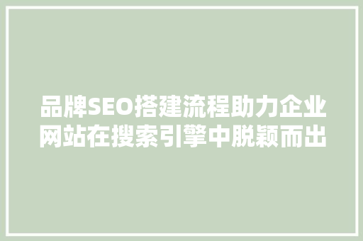品牌SEO搭建流程助力企业网站在搜索引擎中脱颖而出