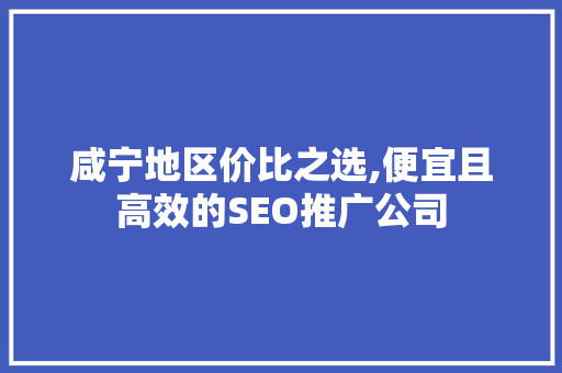 咸宁地区价比之选,便宜且高效的SEO推广公司