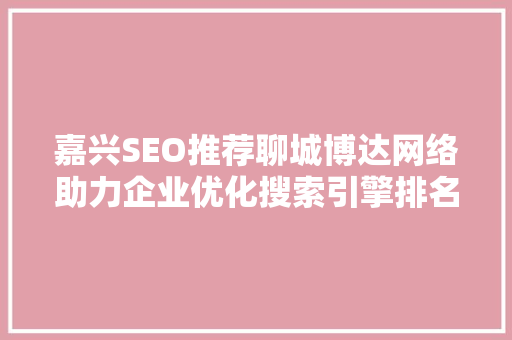 嘉兴SEO推荐聊城博达网络助力企业优化搜索引擎排名
