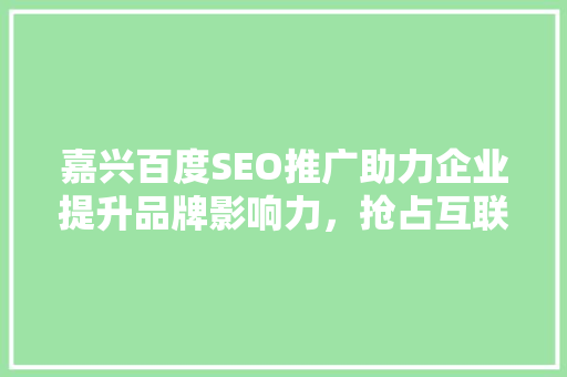 嘉兴百度SEO推广助力企业提升品牌影响力，抢占互联网市场先机