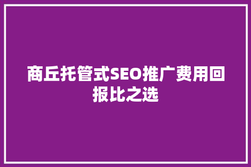商丘托管式SEO推广费用回报比之选