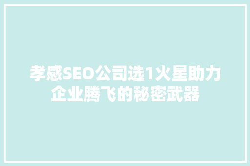 孝感SEO公司选1火星助力企业腾飞的秘密武器