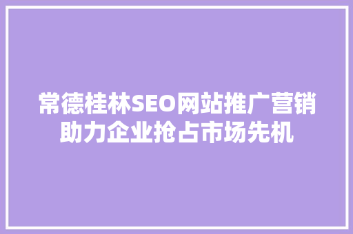 常德桂林SEO网站推广营销助力企业抢占市场先机