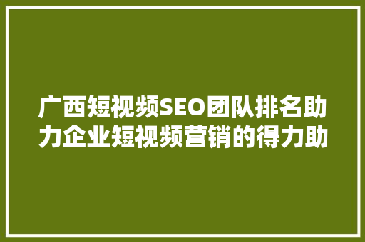 广西短视频SEO团队排名助力企业短视频营销的得力助手 SEO关键词