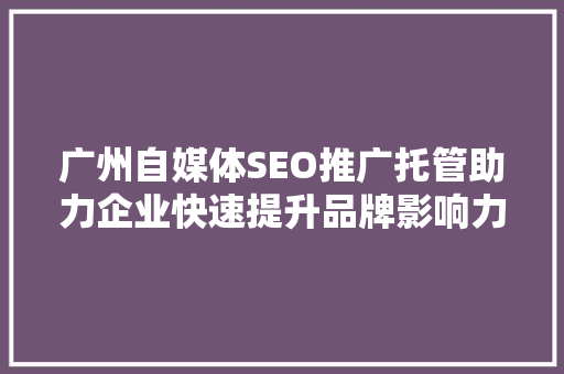 广州自媒体SEO推广托管助力企业快速提升品牌影响力 网站建设公司