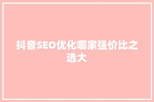 抖音SEO优化哪家强价比之选大