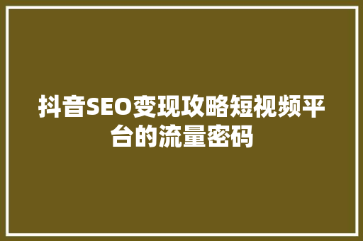 抖音SEO变现攻略短视频平台的流量密码 SEO关键词
