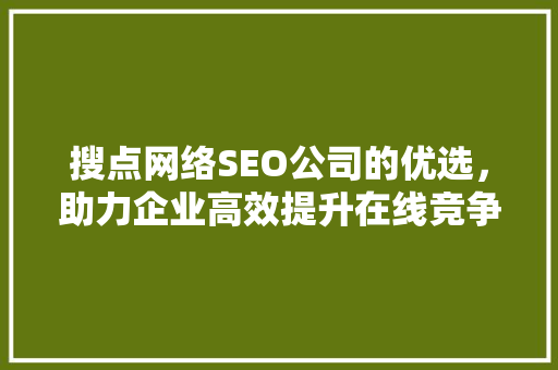 搜点网络SEO公司的优选，助力企业高效提升在线竞争力