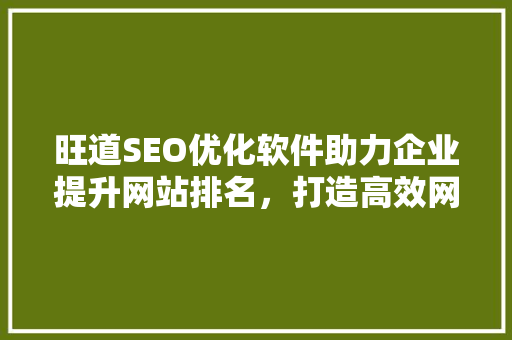 旺道SEO优化软件助力企业提升网站排名，打造高效网络营销步骤
