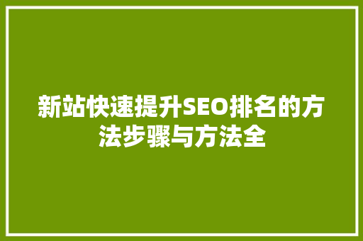 新站快速提升SEO排名的方法步骤与方法全