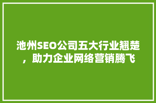 池州SEO公司五大行业翘楚，助力企业网络营销腾飞 SEO关键词