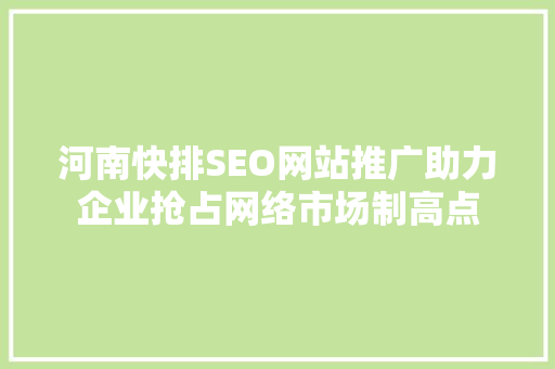 河南快排SEO网站推广助力企业抢占网络市场制高点