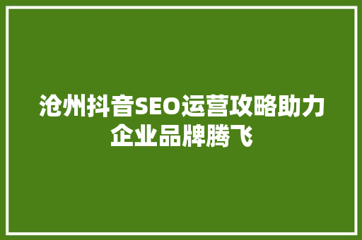 沧州抖音SEO运营攻略助力企业品牌腾飞 搜狗SEO