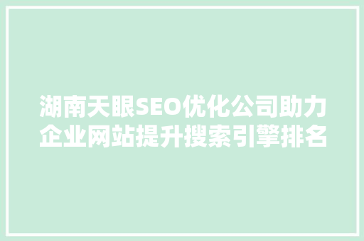 湖南天眼SEO优化公司助力企业网站提升搜索引擎排名，打造网络品牌新高度 SEO关键词