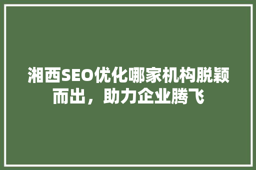 湘西SEO优化哪家机构脱颖而出，助力企业腾飞