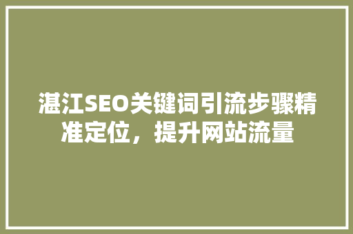 湛江SEO关键词引流步骤精准定位，提升网站流量