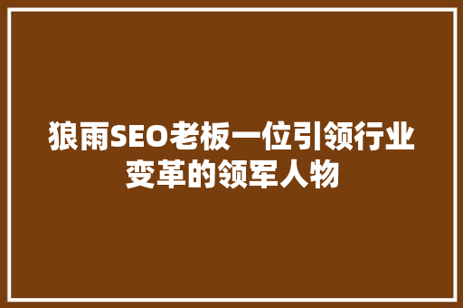 狼雨SEO老板一位引领行业变革的领军人物