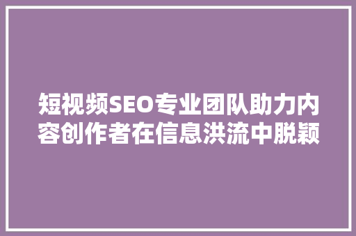 短视频SEO专业团队助力内容创作者在信息洪流中脱颖而出