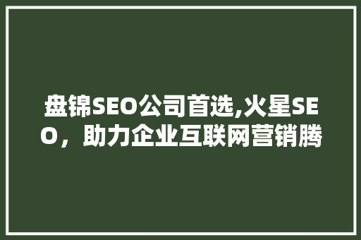 盘锦SEO公司首选,火星SEO，助力企业互联网营销腾飞 神马SEO