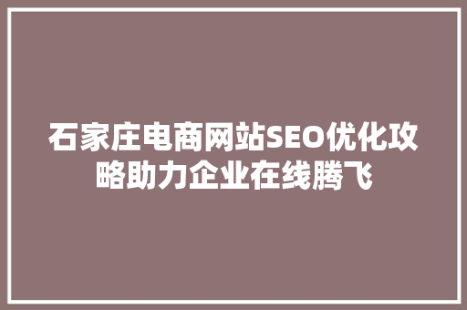 石家庄电商网站SEO优化攻略助力企业在线腾飞