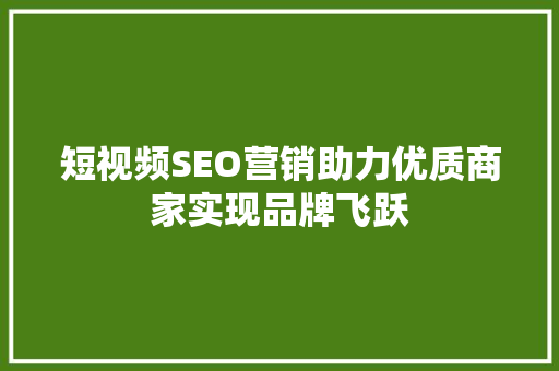 短视频SEO营销助力优质商家实现品牌飞跃 SEO关键词