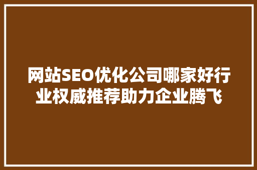 网站SEO优化公司哪家好行业权威推荐助力企业腾飞