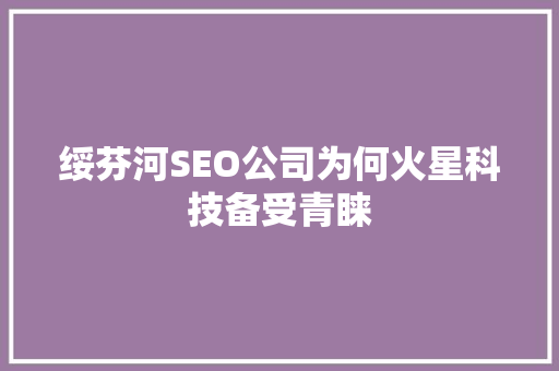 绥芬河SEO公司为何火星科技备受青睐 网站建设公司