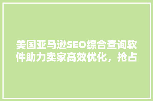 美国亚马逊SEO综合查询软件助力卖家高效优化，抢占市场先机 网站建设公司