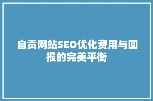 自贡网站SEO优化费用与回报的完美平衡