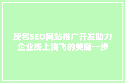 茂名SEO网站推广开发助力企业线上腾飞的关键一步 百度SEO