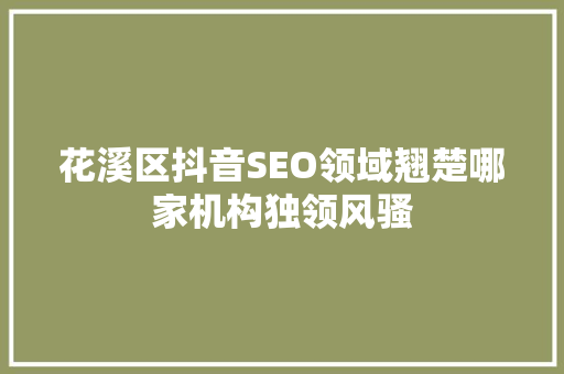 花溪区抖音SEO领域翘楚哪家机构独领风骚 网站建设公司