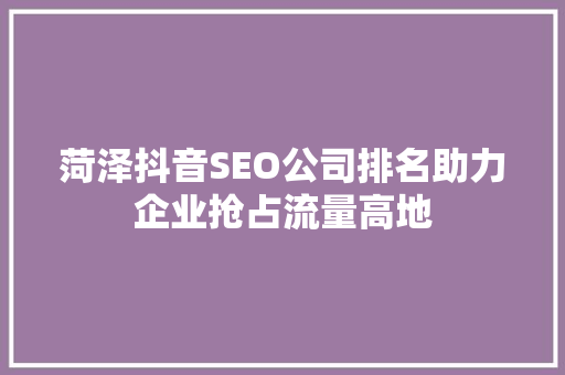 菏泽抖音SEO公司排名助力企业抢占流量高地