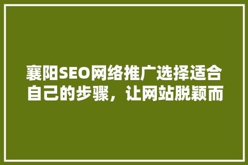 襄阳SEO网络推广选择适合自己的步骤，让网站脱颖而出
