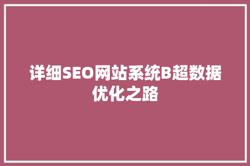 详细SEO网站系统B超数据优化之路
