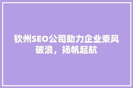 钦州SEO公司助力企业乘风破浪，扬帆起航