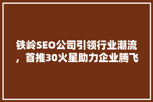铁岭SEO公司引领行业潮流，首推30火星助力企业腾飞