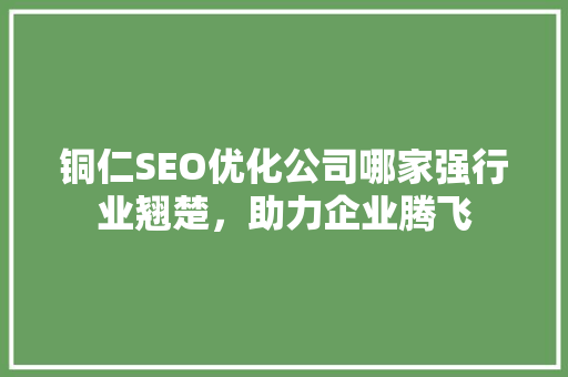 铜仁SEO优化公司哪家强行业翘楚，助力企业腾飞