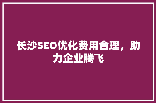 长沙SEO优化费用合理，助力企业腾飞