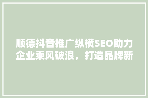 顺德抖音推广纵横SEO助力企业乘风破浪，打造品牌新高度 必应SEO