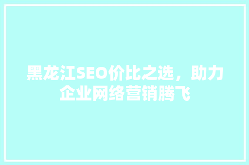 黑龙江SEO价比之选，助力企业网络营销腾飞
