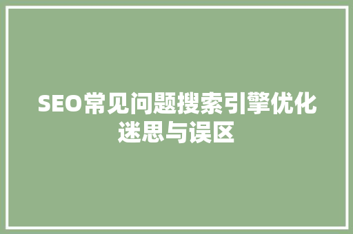 SEO常见问题搜索引擎优化迷思与误区