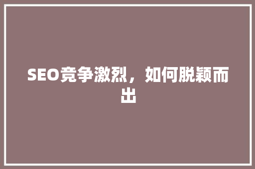 SEO竞争激烈，如何脱颖而出 SEO关键词