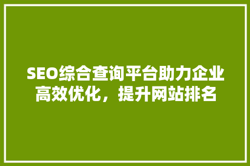 SEO综合查询平台助力企业高效优化，提升网站排名 网站建设公司