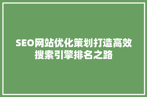 SEO网站优化策划打造高效搜索引擎排名之路 百度SEO