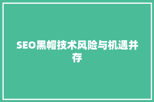 SEO黑帽技术风险与机遇并存 神马SEO
