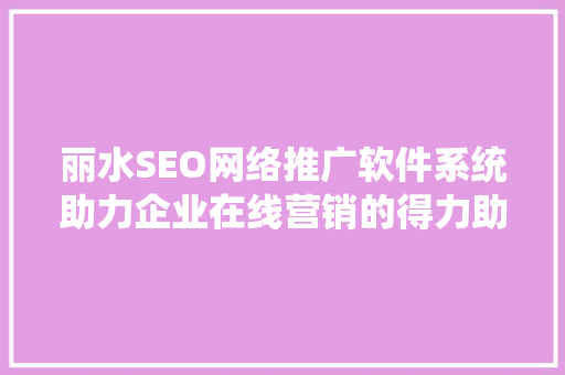 丽水SEO网络推广软件系统助力企业在线营销的得力助手