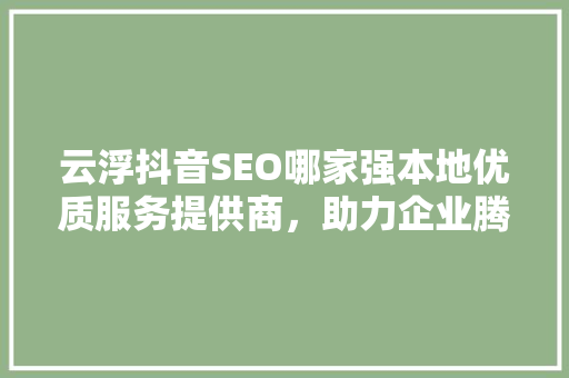 云浮抖音SEO哪家强本地优质服务提供商，助力企业腾飞